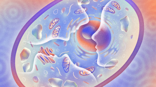 What Can a Cell Remember?